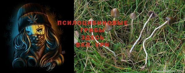 MDMA Краснослободск