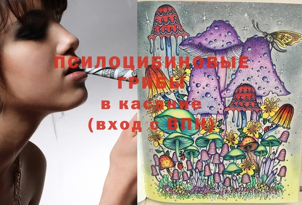 MDMA Краснослободск