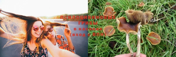 ешки Краснотурьинск